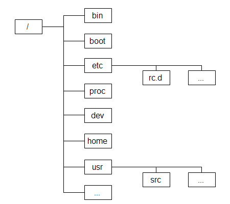 Linux 系统的目录结构